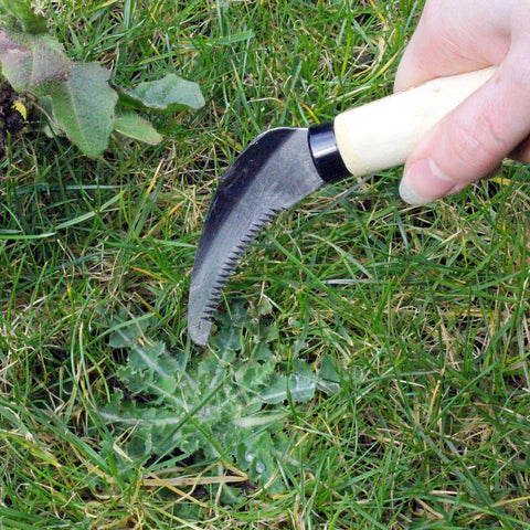 Burgon and Ball Lawn Weeding Knife