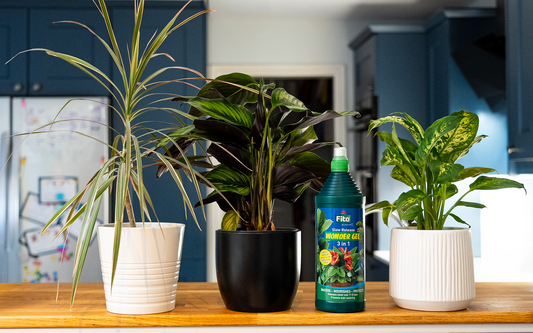 Fito 3 in1  Wonder Gel