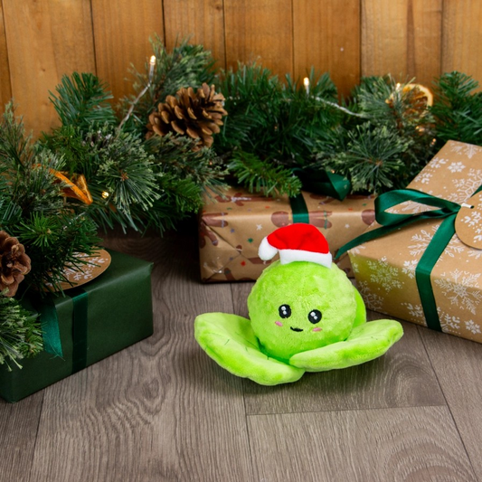 Festive Christmas Dog Toy-  Bouncing Spencer Sprout