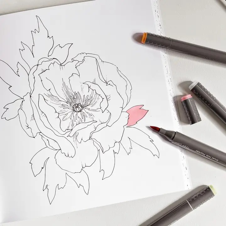 The Plant Lady: A Floral Adult Coloring Book