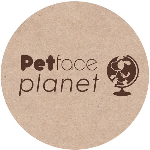 Petface Dog products