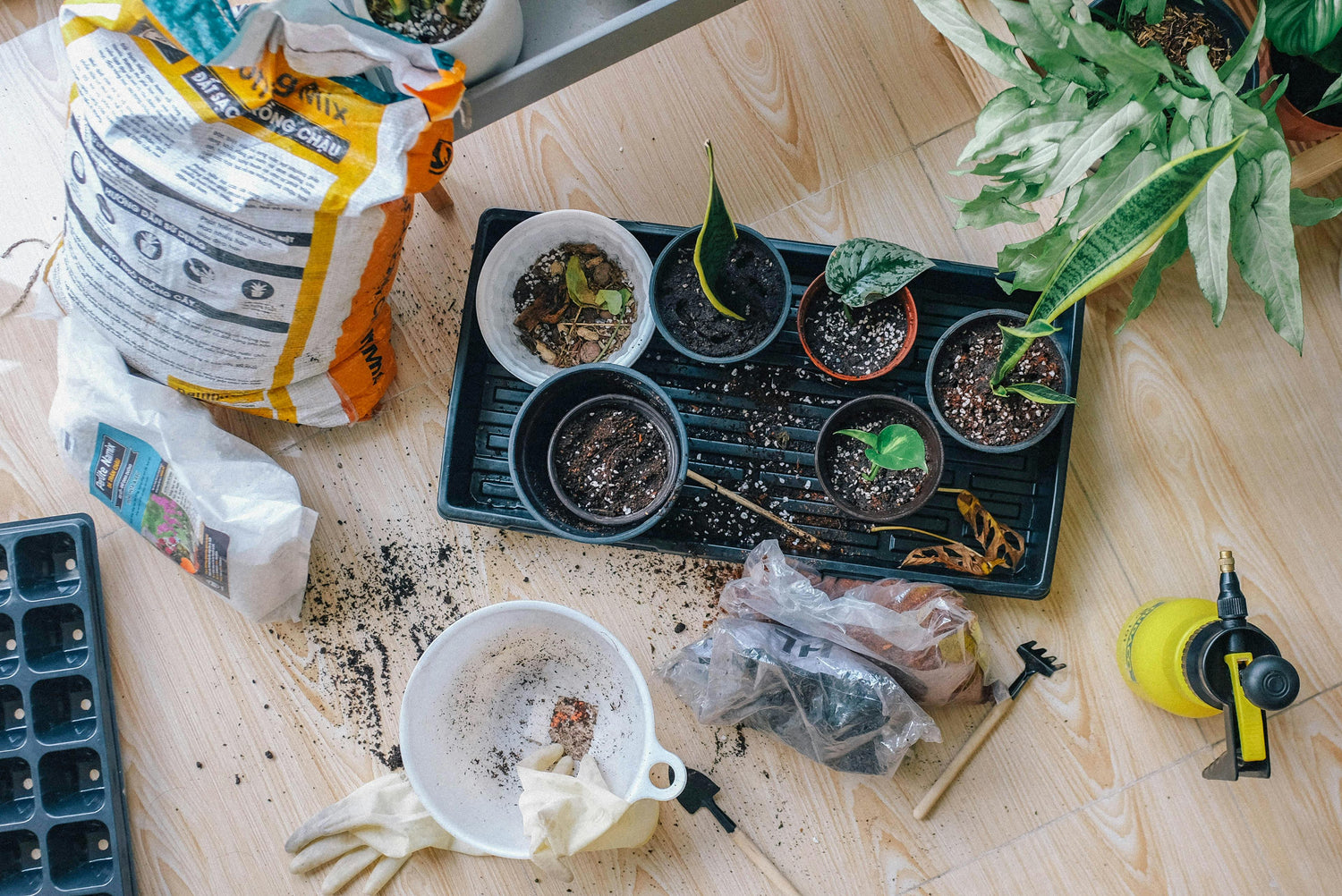 Gardening Bits & Bobs