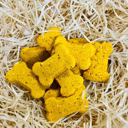 Life of Riley Hip & Joint Bones