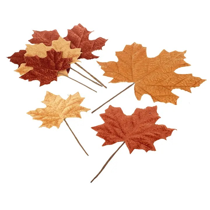 Set of Autumnal Leaves