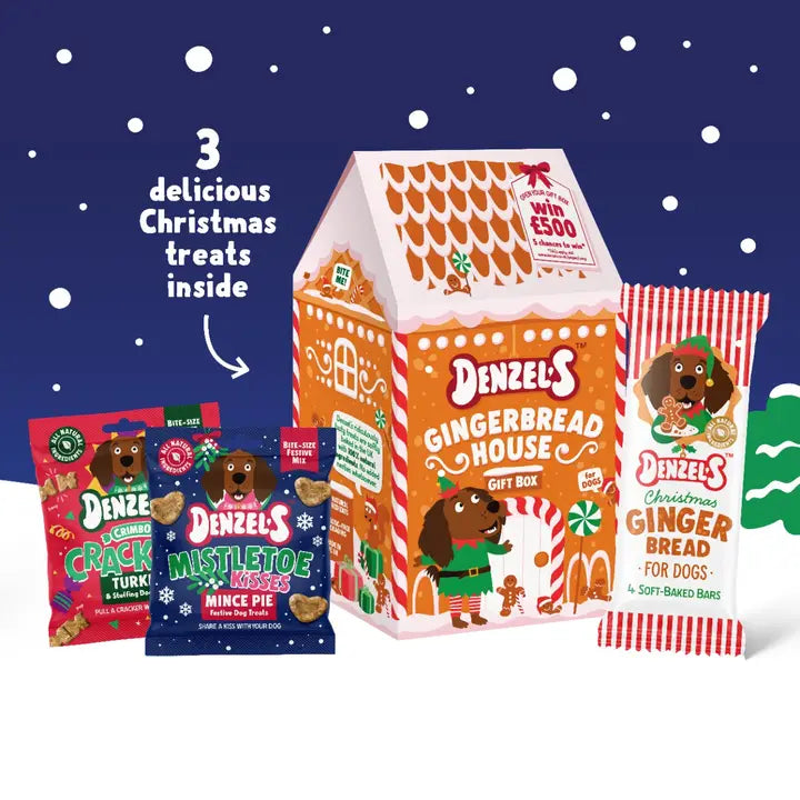 Denzel’S Gingerbread House Gift Box For Dogs