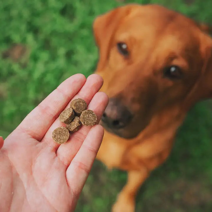 Denzel's Doggy Christmas Pigs in Blankets Bites 100g