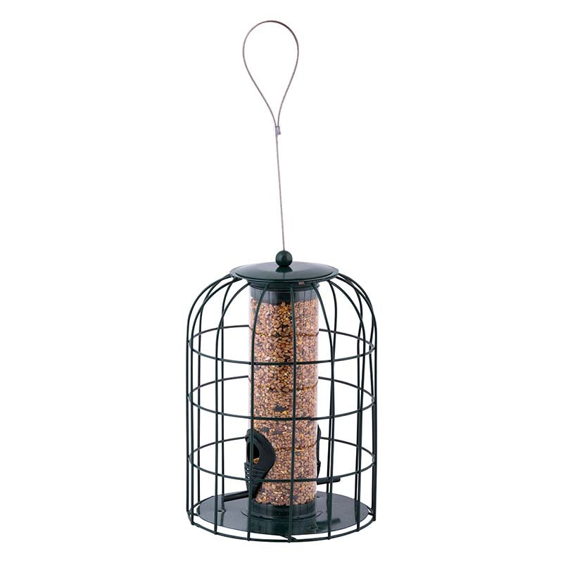Squirrel Proof Seed Feeder