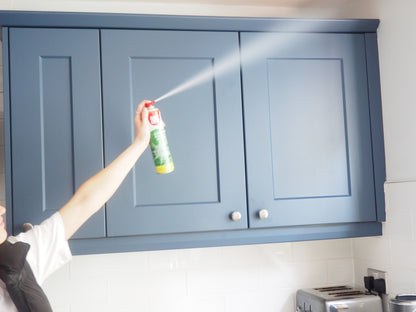 Get off Spiderweb Remover and Preventer