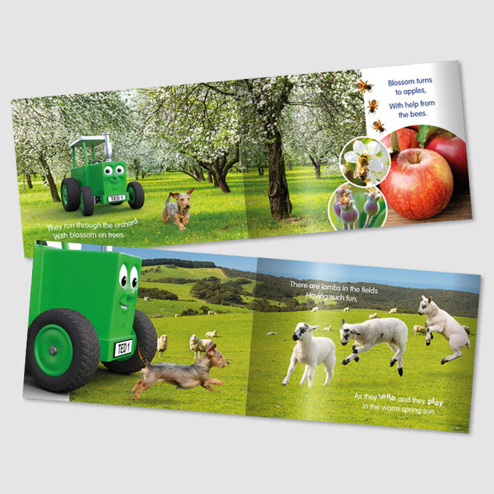 Tractor Ted, A Spring Day Storybook