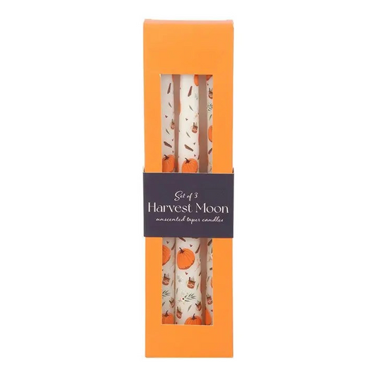 Autumn Pumpkin Candles