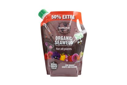 Ecofective Organic Seaweed