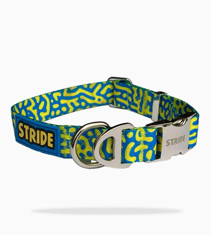 Stride Adventure Dog Collar – Blue