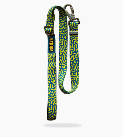 Stride Adventure Dog Lead – Blue