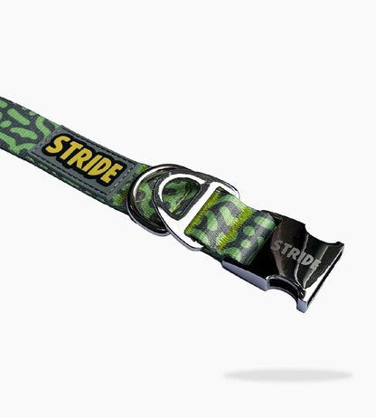 Stride Adventure Dog Collar – Grey