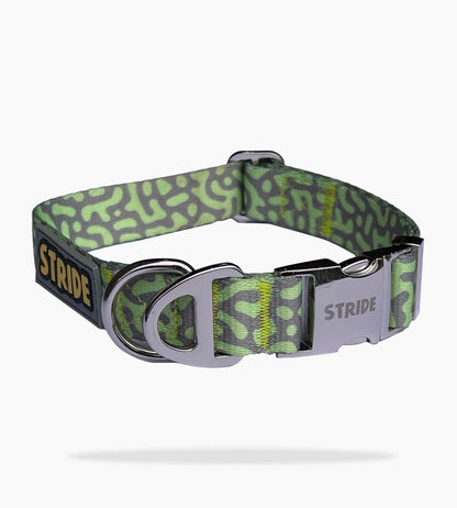 Stride Adventure Dog Collar – Grey